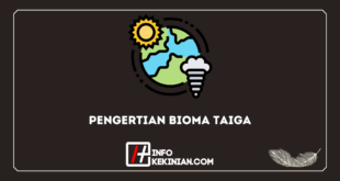 Pengertian Bioma Taiga