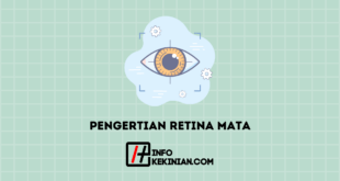 Pengertian Retina Mata