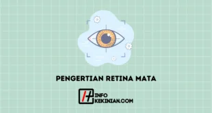 Pengertian Retina Mata