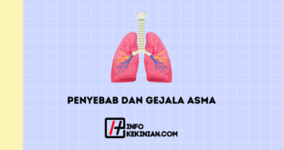 Penyebab Dan Gejala Asma
