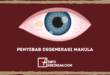Penyebab Degenerasi Makula