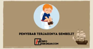 Penyebab Terjadinya Sembelit