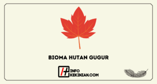 Pengertian Bioma Hutan Gugur