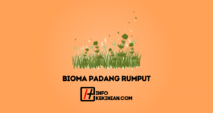 Pengertian Bioma Padang Rumput
