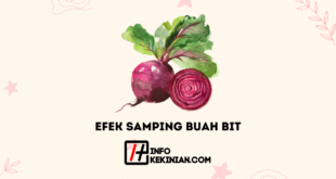 Efek Samping Buah Bit