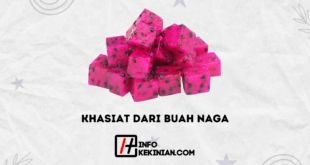 Khasiat Dari Buah Naga