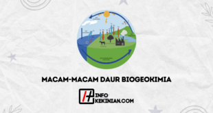 Macam-Macam Daur Biogeokimia,