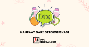 Manfaat Dari Detoksifikasi