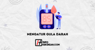 Mengatur Gula Darah