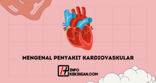 Mengenal Penyakit Kardiovaskular