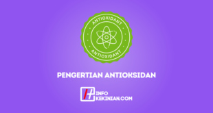 Pengertian Antioksidan