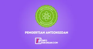 Pengertian Antioksidan