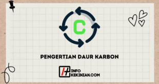 Pengertian Daur Karbon