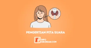 Pengertian Pita Suara