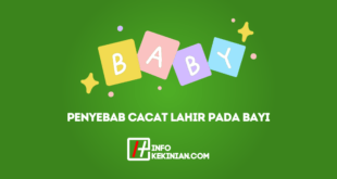 Penyebab Cacat Lahir Pada Bayi