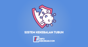 Mengenal Sistem Kekebalan Tubuh