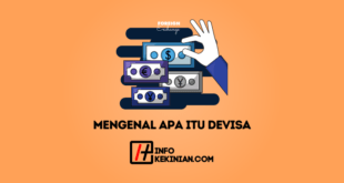 Mengenal Apa Itu Devisa