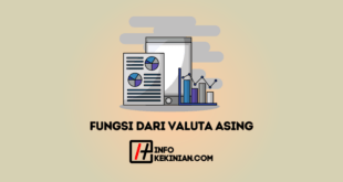 Fungsi dari Valuta Asing