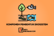 Komponen-Komponen Pembentuk Ekosistem, Ini Penjelasannya 47 Komponen-Komponen Pembentuk Ekosistem