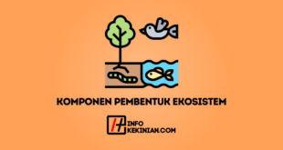 Komponen-Komponen Pembentuk Ekosistem