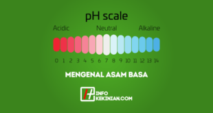 Mengenal Asam Basa