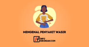 Mengenal Penyakit Wasir
