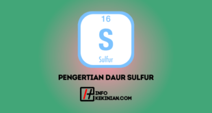 Pengertian Daur Sulfur