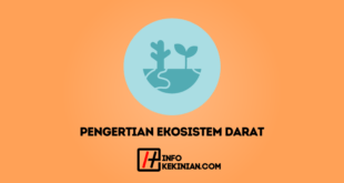 Pengertian Ekosistem Darat