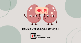 Penyakit Gagal Ginjal