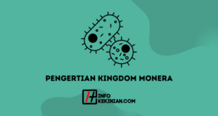 Pengertian Kingdom Monera