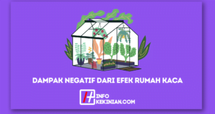 Dampak Negatif Dari Efek Rumah Kaca