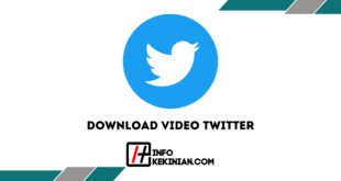 Download Video Twitter