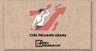 Ciri Peluang Usaha