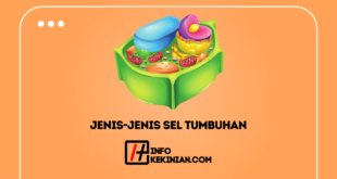 Jenis-Jenis Sel Tumbuhan