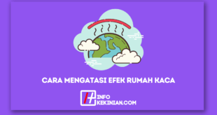 5 Cara Mengatasi Efek Rumah Kaca