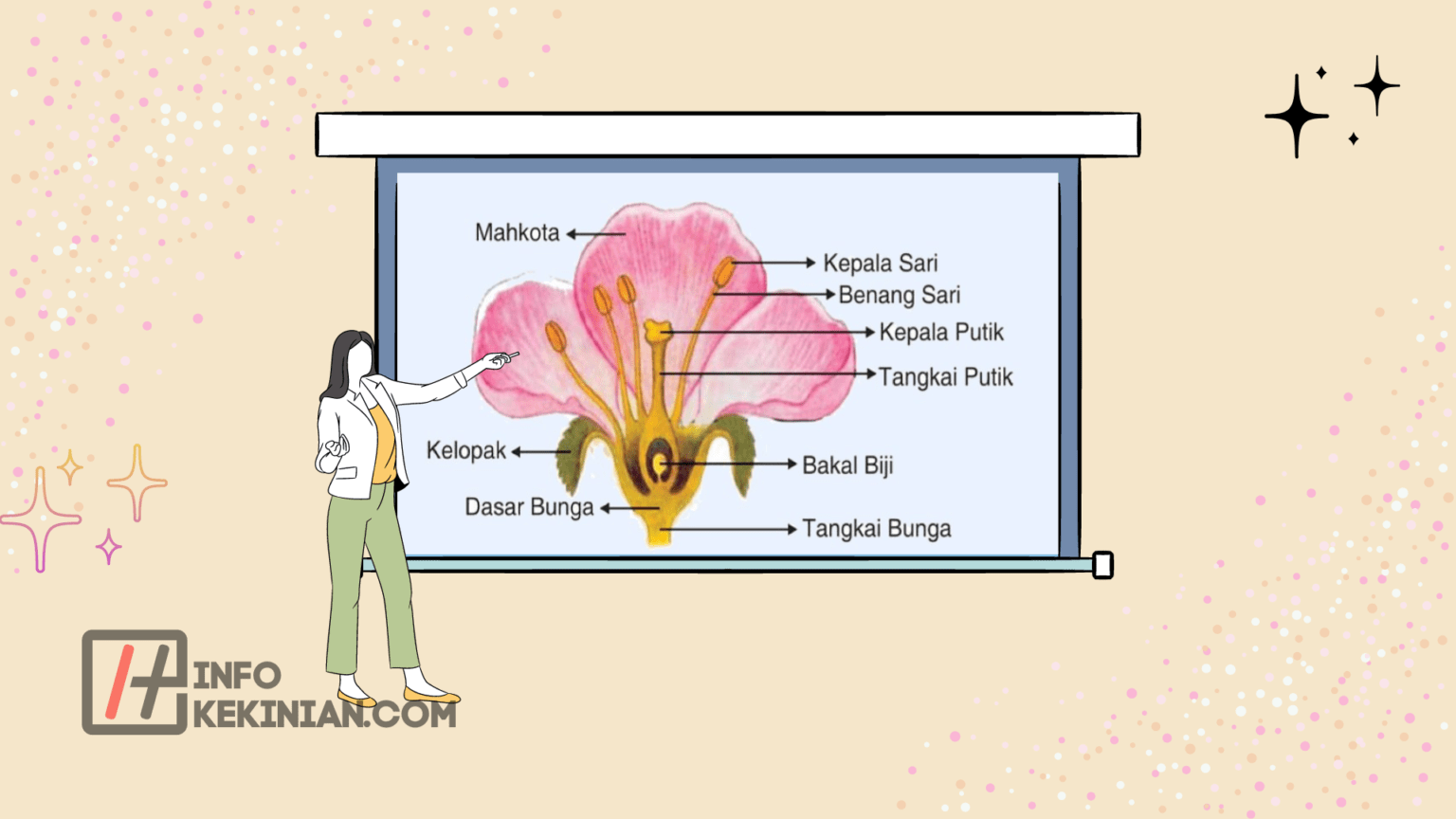 10 Bagian-bagian Bunga Sempurna, Lengkap dengan Fungsinya