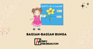 Bagian-bagian Bunga Sempurna