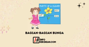 Bagian-bagian Bunga Sempurna