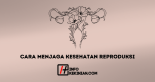 Cara Menjaga Kesehatan Reproduksi