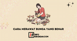 Cara Merawat Bunga yang Benar