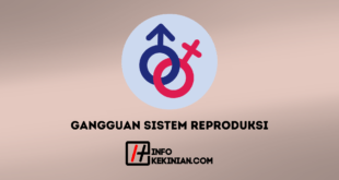 Gangguan Sistem Reproduksi