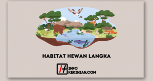 Habitat Hewan Langka