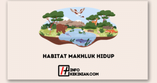 Habitat Makhluk Hidup