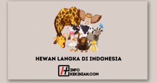 Hewan Langka di Indonesia