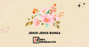 Jenis-jenis Bunga yang Paling Populer di Dunia