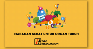 Makanan Sehat untuk Organ Tubuh