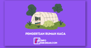 Pengertian Rumah Kaca