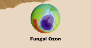 Función del ozono