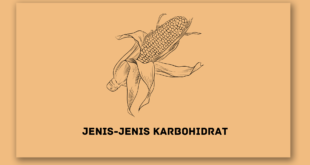 Jenis-jenis Karbohidrat