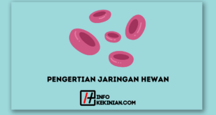 Pengertian Jaringan Hewan